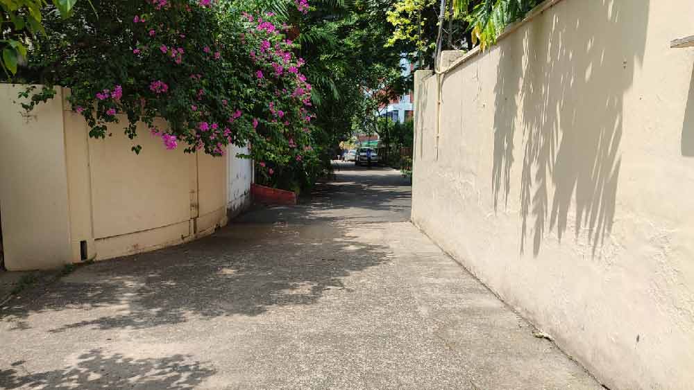 বেহালার বাড়িতে যেতে হলে সরু রাস্তা পার করে একদম শেষ মাথায় যেতে হত। সৌরভের বাড়িটিই সেই রাস্তার শেষ। 