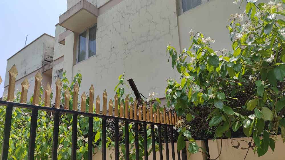 লোয়ার রডন স্ট্রিটের বাড়িটিও রাস্তার শেষে। অদ্ভুত মিল দু’টি বাড়িতে। রাস্তার একেবারে শেষ প্রান্তে রয়েছে বাড়ি দু’টি।