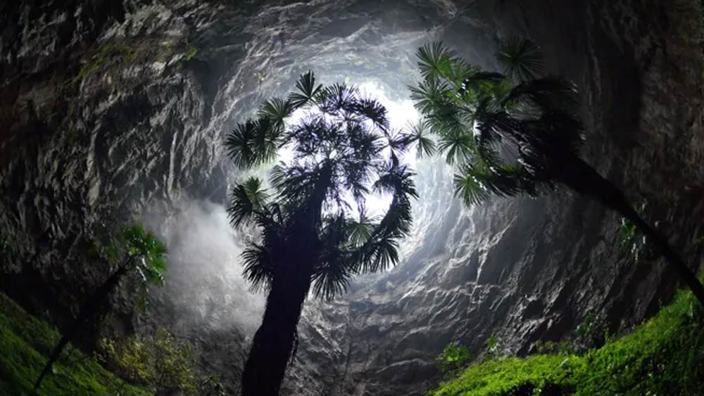 ‘সিঙ্কহোল’ হল মাটির নীচের গহ্বর, যা মাটির নীচে হওয়া ধসের কারণে তৈরি হয়।