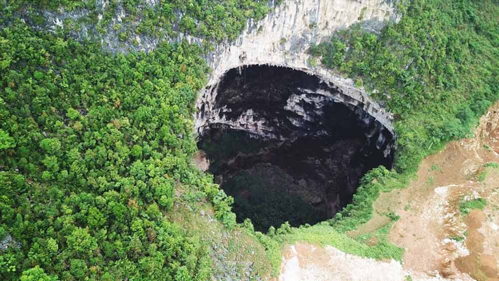 বিজ্ঞানীদের দাবি, এই জঙ্গলে অনেক এমন উদ্ভিদ এবং প্রাণীর খোঁজ মিলতে পারে, যারা একেবারে নতুন প্রজাতির।
