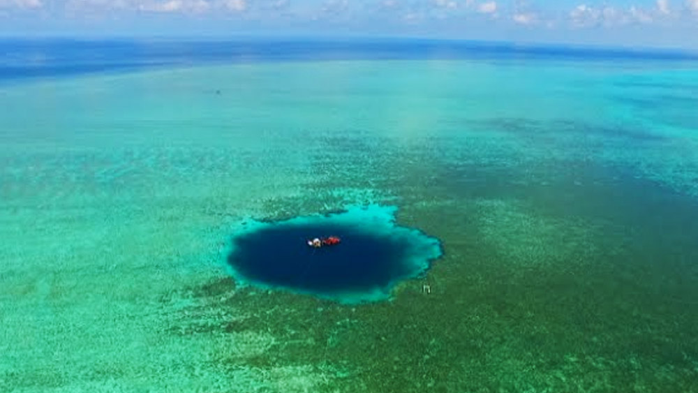 বিজ্ঞানীদের মতে, এই গহ্বরটি বিরল। কারণ এটি সাধারণ গহ্বরের তুলনায় বেশি গভীর। তবে এই গহ্বরের মুখ দিয়ে পর্যাপ্ত পরিমাণ সূর্যের আলো প্রবেশ করতে পারায় এই জঙ্গলে গাছগুলি বেড়ে উঠেছে বলেও বিজ্ঞানীদের অনুমান।