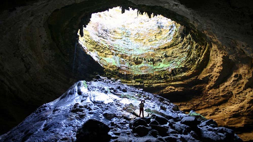 এই জঙ্গলের কথা পড়ে কি মনে পড়ল ‘অ্যালিস ইন ওয়ান্ডারল্যান্ড’র গল্প? যেখানে ছোট অ্যালিস চলতে চলতে খরগোশের এক গর্তে পড়ে যায়। গর্তের নীচে সে খোঁজ পায় এক জঙ্গলের। সেই জঙ্গলের মধ্যে অদ্ভূত সব প্রাণী এবং গাছপালার খোঁজ পেয়েছিল অ্যালিস।