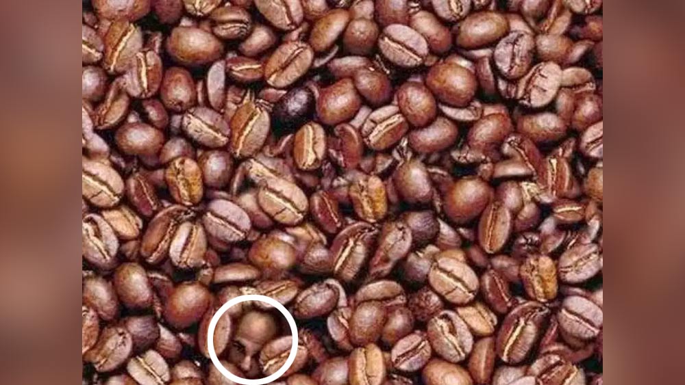 ধাঁধার সমাধান।