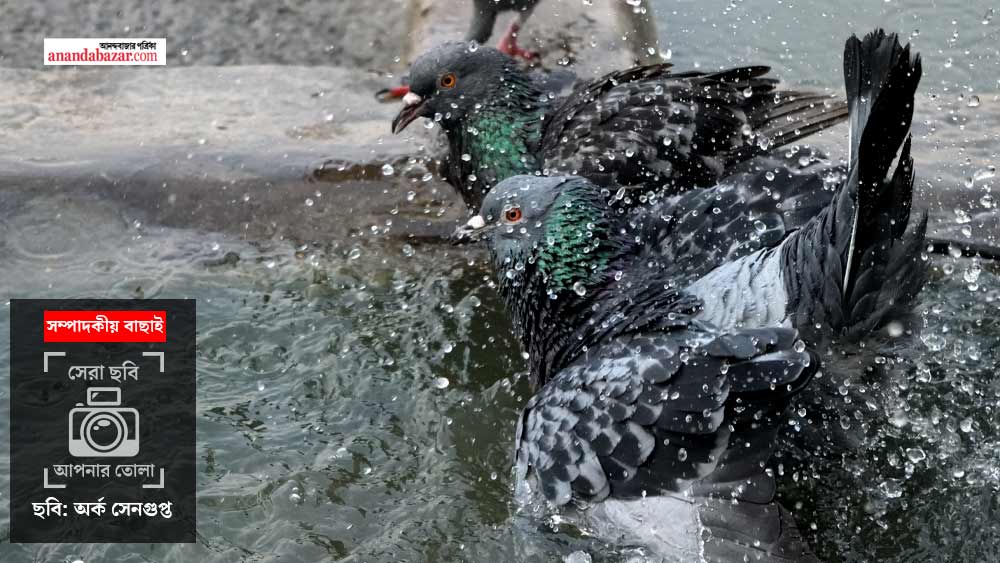ছবি: অর্ক সেনগুপ্ত।