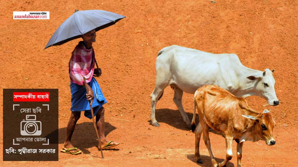 ছবি: পৃথ্বীরাজ সরকার।