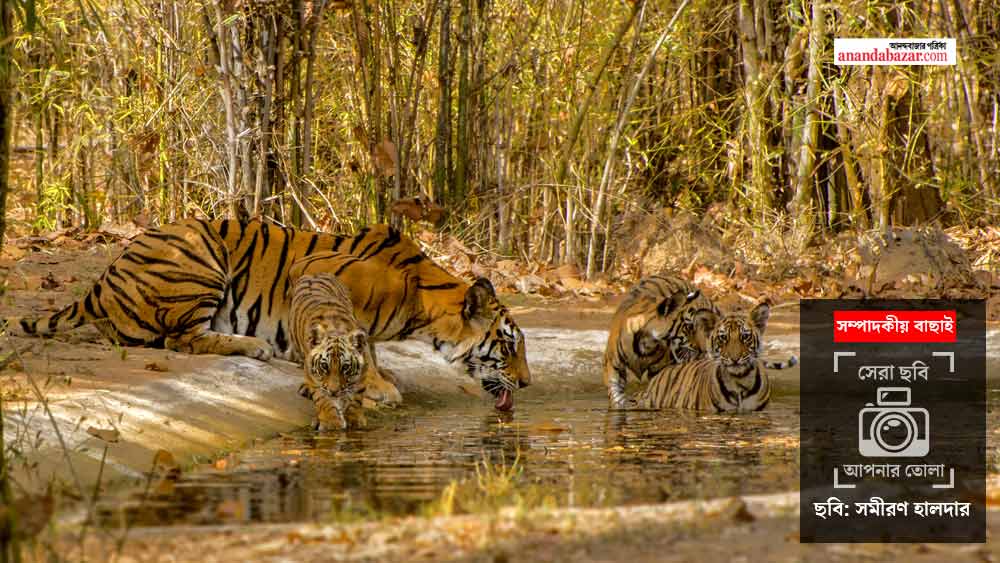 ছবি: সমীরণ হালদার।