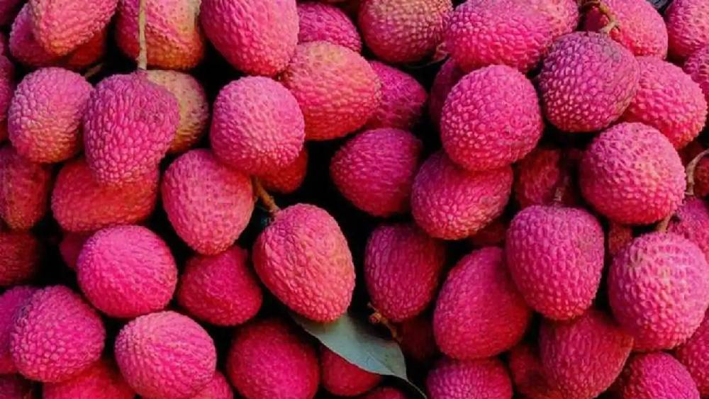 প্রতীকী ছবি।