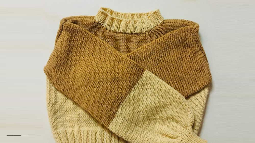 এ ভাবে বেশ কিছু দিন কেটে গিয়েছে। একটা সোয়েটার বানিয়ে ফেললেন তিনি। নিজের হাতে বোনা প্রথম সোয়েটার উপহার দিলেন ছোট বোনকে। দাদা এত সুন্দর সোয়েটার বানিয়েছে! প্রথমে বিশ্বাসই করতে পারেননি সোহেলের কলেজ-পড়ুয়া বোন।