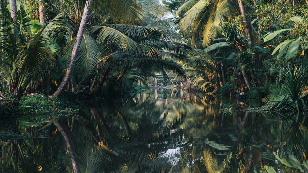 নীল রঙের একটি প্লাস্টিকের পিপে জলের স্রোতে বার বার ওঠানামা করছিল। কেরলের ব্যাকওয়াটারে বড় সাইজের ওই পিপেটি দেখতে পেয়েছিলেন কয়েক জন জেলে। 