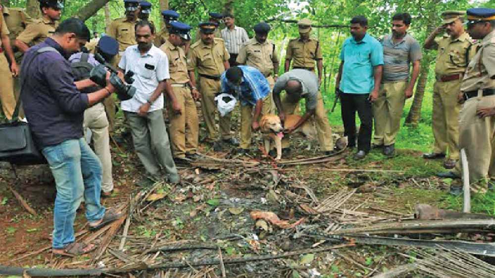 পিপের মধ্যে সিমেন্টচাপা কঙ্কালটি কার? কে বা কারা সেটি পিপেতে ঢুকিয়েছে? এর পিছনে রহস্যই বা কী? এমন নানা প্রশ্নের উত্তর খুঁজতে শুরু করেন তদন্তকারীরা। 
