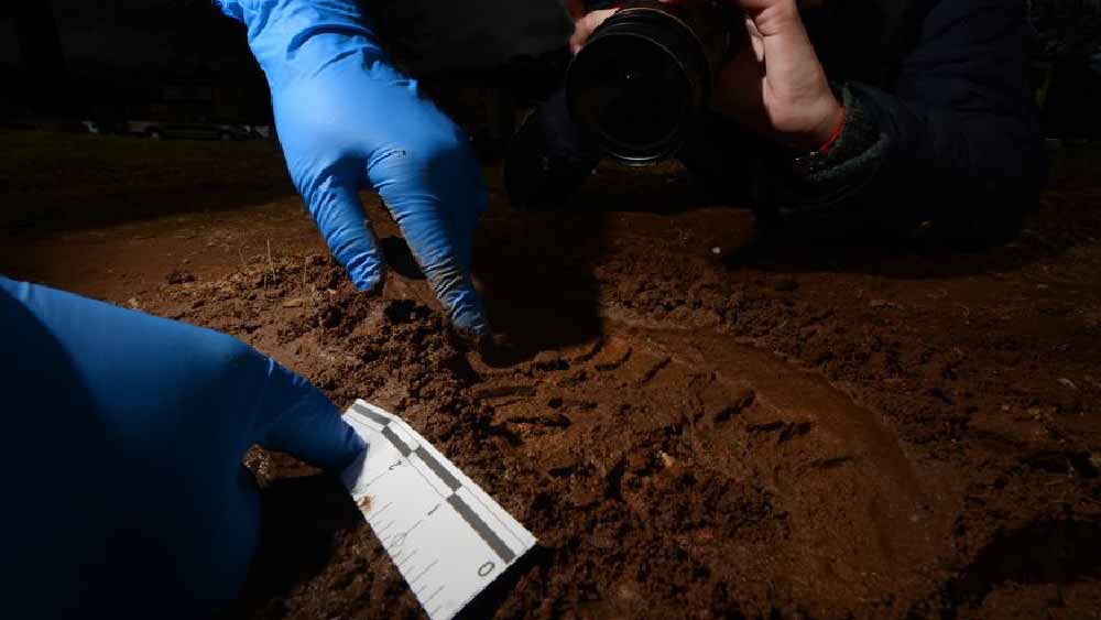 কঙ্কাল উদ্ধারের পর বেশ কিছু দিন কেটে গেলেও একেবারে অন্ধকারে ছিলেন তদন্তকারীরা। তবে ঘটনার প্রায় আড়াই মাস পর আচমকাই রহস্যের জট খুলে যায়!