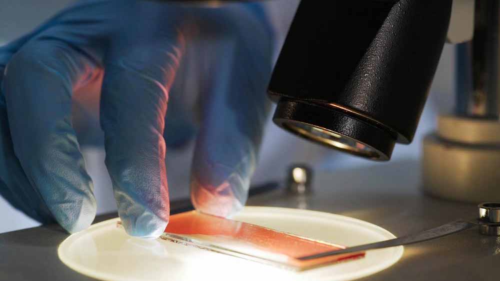 উন্মেষ বলেছিলেন, ‘‘এই কঙ্কালটি যে মহিলার, তাতে সন্দেহ নেই। প্রাথমিক ভাবে মহিলার উচ্চতা-সহ অন্যান্য শারীরিক বৈশিষ্ট্য সম্পর্কেও তথ্য মিলেছে। তবে দেহটি পচে-গলে গিয়েছিল। যদিও হাড়ের সঙ্গে কিছুটা টিস্যু লেগে ছিল।’’