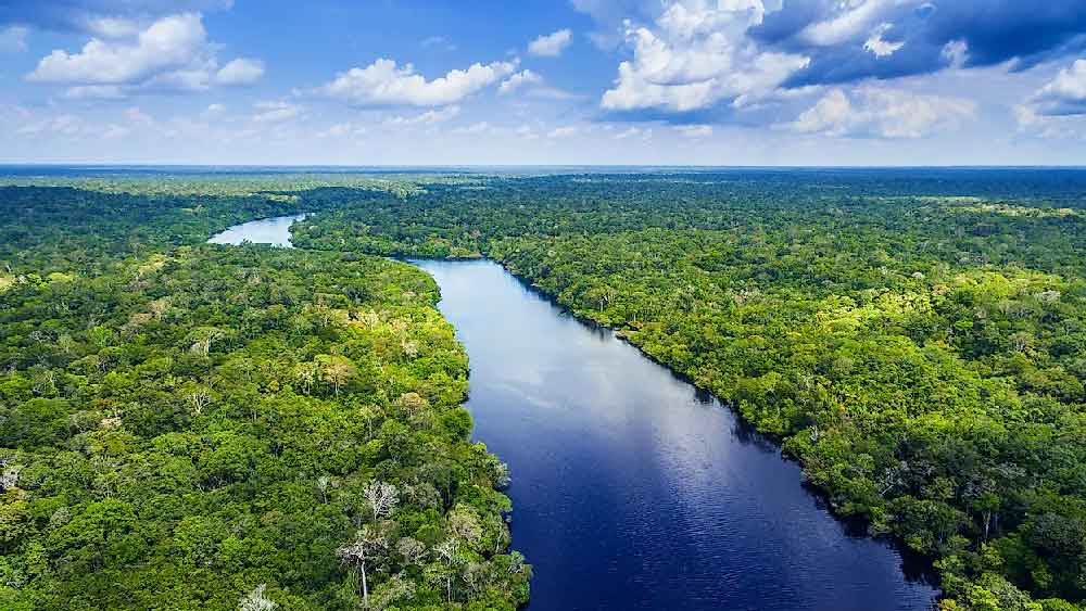 আমাজনের গভীর জঙ্গলের আড়ালে লুকিয়ে প্রাচীন শহর। কিন্তু এত দিন কোনও মানুষ খোঁজ পাননি এই শহরের। তবে সম্প্রতি এই শহরের খোঁজ মিলল অত্যাধুনিক প্রযুক্তি ব্যবহার করে।