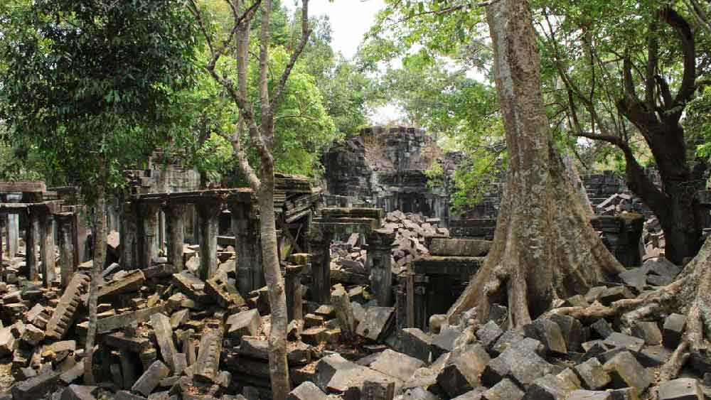 বলিভিয়ার ল্যানোস ডি মোজোস সাভানা জঙ্গলে এই শহরগুলির খোঁজ পাওয়া গিয়েছে। বহু বছর ধরে ঘন গাছের ছাউনির নীচে লুকিয়ে ছিল এই শহরগুলি।