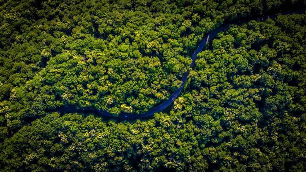৩০টি ফুটবল মাঠের সমান এই কাঠামোর পাশে ৬৯ ফুট লম্বা এক পিরামিডের খোঁজও মিলেছে।