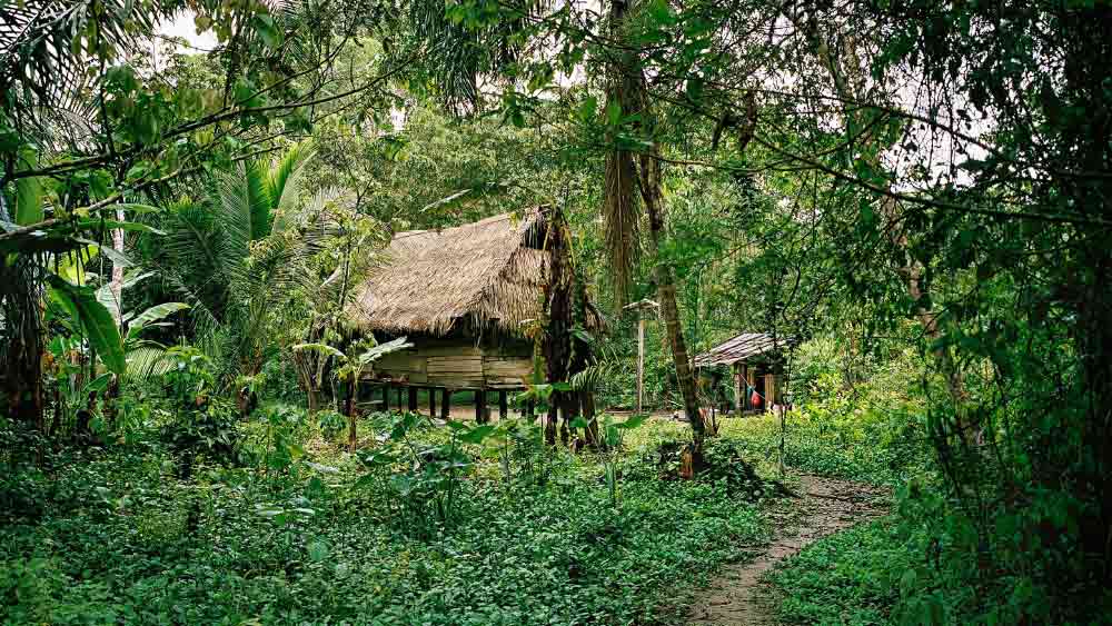 গবেষকরা মনে করছেন, বনাঞ্চলে বসবাস করলেও আমাজনে এমন কিছু সম্প্রদায় বাস করত, যারা সময়ের তুলনায় বেশ কিছুটা এগিয়ে ছিল।