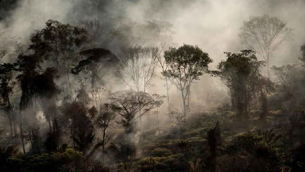 আমাজনের জঙ্গলে এই নয়া আবিষ্কৃত এলাকাকে কেন্দ্র করে একটি নগর-সভ্যতা গড়ে উঠেছিল বলেও গবেষকরা মনে করছেন।