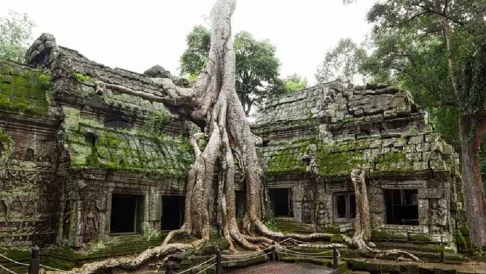 একই সঙ্গে এই শহরগুলির প্রাথমিক গঠন দেখে মনে করা হচ্ছে যে, এই সভ্যতার মানুষেরা স্থাপত্যকার্যে বেশ নিপুণ ছিলেন। এবং এই এলাকা যথেষ্ট পরিকল্পনা মাফিক তৈরি করা হয়েছিল বলেও গবেষকরা দাবি করেছেন।