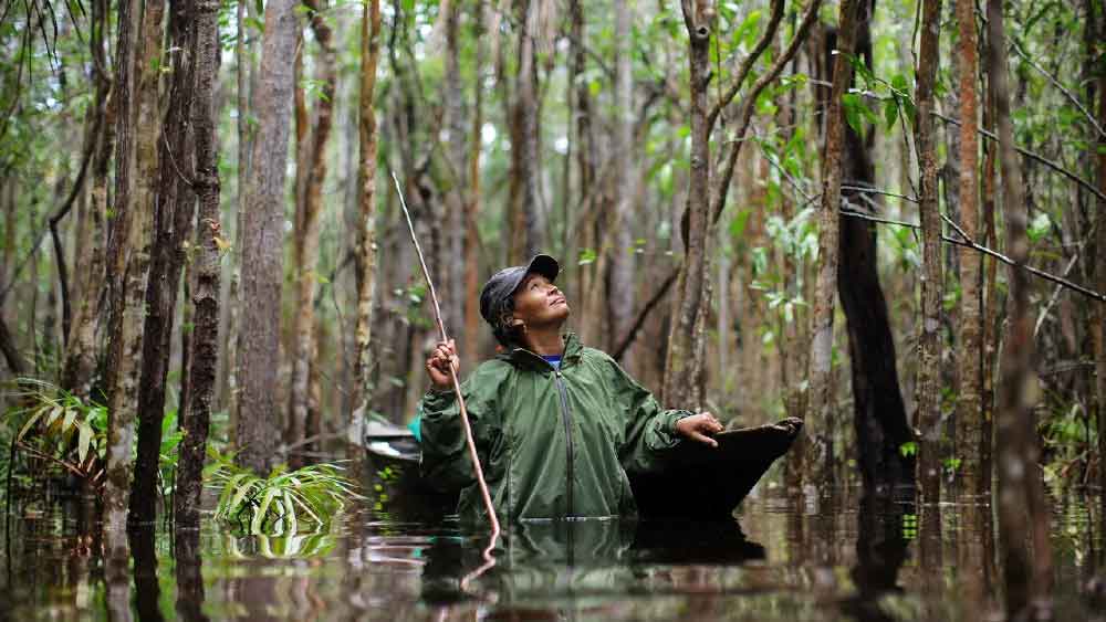 তবে সাম্প্রতিক কালে সাভানা বনাঞ্চল জুড়ে হওয়া আবিষ্কারে সেই বদ্ধমূল ধারণা অনেকটাই মিথ্যে প্রমাণিত করেছে।