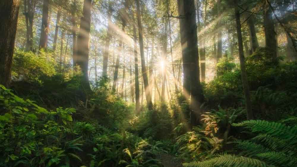 এখানকার বাসিন্দারা কেন এই শহর ছেড়ে চলে গিয়েছিলেন, তা-ও গবেষণা সাপেক্ষ বলেই গবেষকরা মনে করছেন।