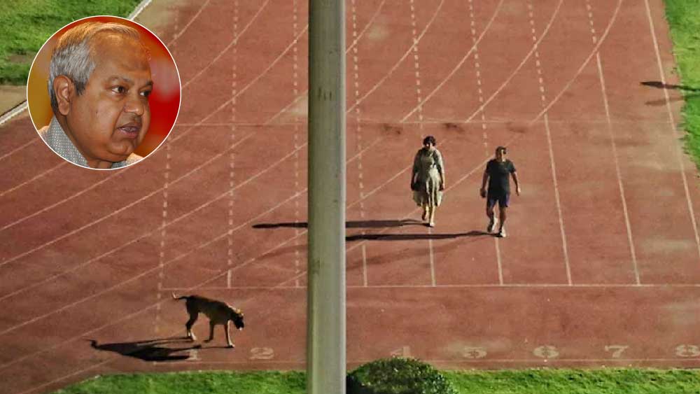 Retired Bureaucrat Prasadranjan Ray writes on the transferred Delhi Bureaucrat couple after the dog walking incident dgtlx