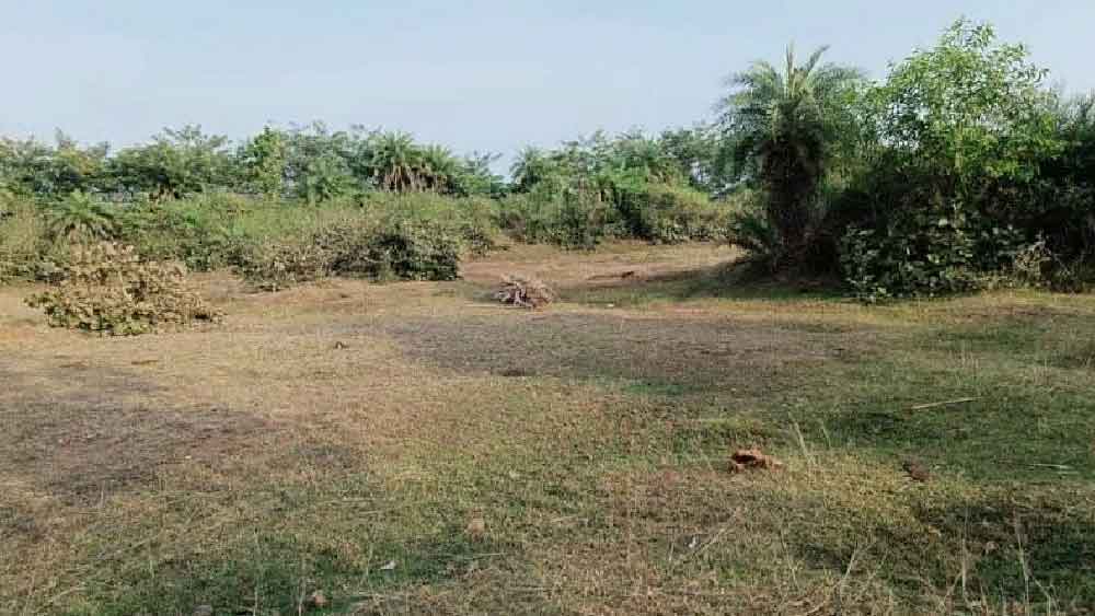 কী ভাবে পাওয়া গিয়েছিল এই সোনার সন্ধান? এক সময় মাওবাদী অধ্যুষিত জামুইয়ের লাল মাটির নীচে যে এত বড় সোনার ভান্ডার লুকিয়ে রয়েছে, তা কেউ কোনও দিন ঘুণাক্ষরেও আঁচ করতে পারেননি। এখানকার সোনার ভান্ডারের সন্ধান পেতে ৪০ বছর সময় লেগে গিয়েছে। সেটাও সম্ভব হয়েছে পিঁপড়েদের জন্য!