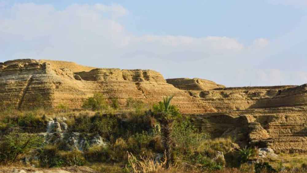 এ নিয়ে নেটমাধ্যমে শুরু হয় তামাশা। সোনভদ্রে সোনা নিয়ে মিমে ভরে যায় ফেসবুক, টুইটার এবং ইনস্টাগ্রাম।