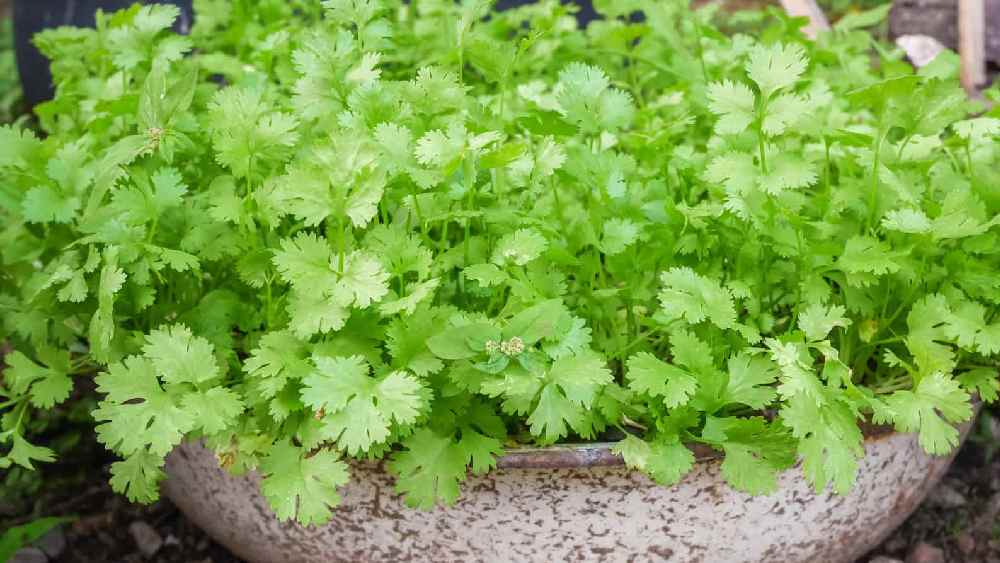 প্রতীকী ছবি।