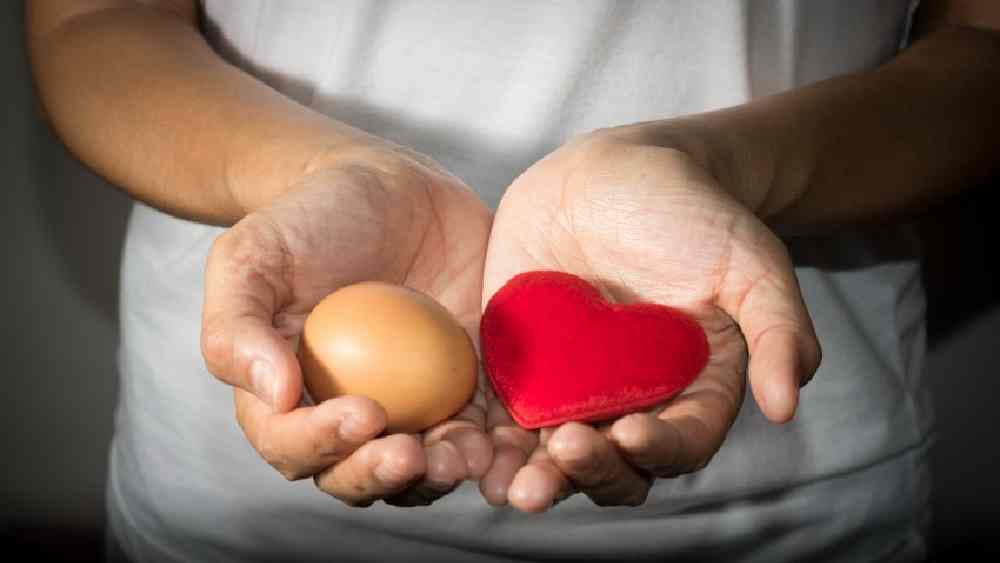 প্রতীকী ছবি।