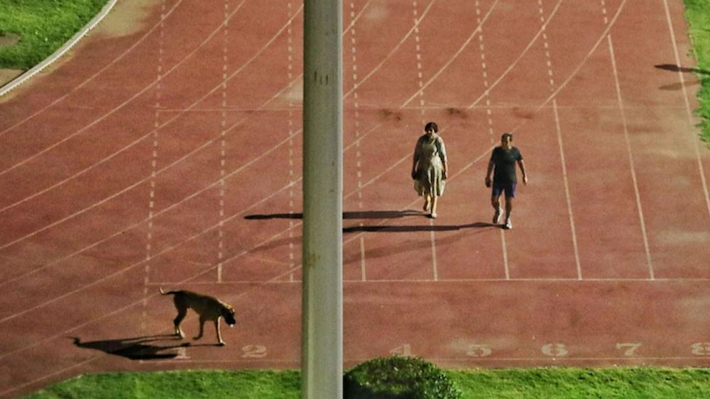 এক দিকে যখন সারমেয়কে হাঁটানোর জন্য স্টেডিয়াম ফাঁকা করে বিতর্ক জড়িয়েছেন এক আইএস অফিসার, উল্টো দিকে তখন আর এক আইএস অফিসার কীর্তির ছবি মন জিতেছে লাখ লাখ মানুষের।