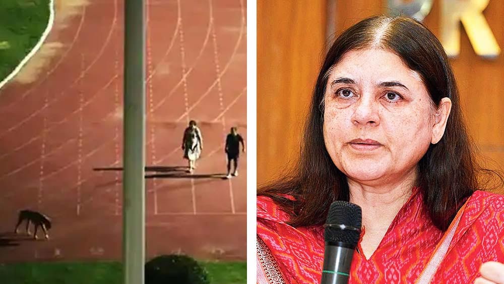 দিল্লির ত্যাগরাজ স্টেডিয়াম খালি করে পোষ্যকে হাঁটানোর কারণে রাতারাতি দিল্লি থেকে বদলি হয়েছেন সঞ্জীব। তাঁকে বদলি করা হয়েছে লাদাখে। স্ত্রীকে বদলি করা হয়েছে অরুণাচল প্রদেশে। ওই আইএএস দম্পতির পাশে দাঁড়ান বিজেপি সাংসদ মানেকা গাঁধী। তাঁর দাবি, এই নির্দেশের ফলে দিল্লিরই ক্ষতি হল।