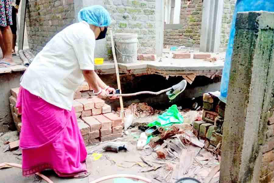 পদক্ষেপ: জমা জল ফেলে দিচ্ছেন এক পুরকর্মী। বনগাঁয়। নিজস্ব চিত্র