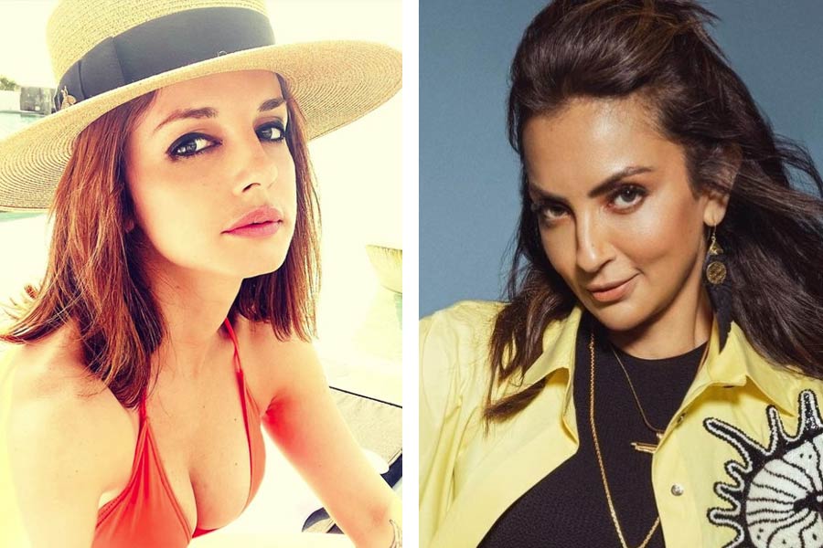 সংবাদ সংস্থা সূত্রের খবর, ২০১৩ সালে সুজ়ান খান এবং সীমা সাজদের সঙ্গে হাত মিলিয়ে মুম্বইয়ে একটি জামাকাপড়ের দোকান খুলেছিলেন মাহীপ।