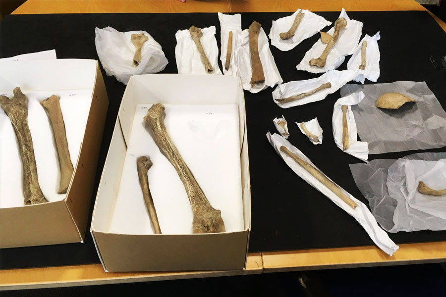 বিজ্ঞানীদের দাবি, প্রাচীন মানবের দেহাবশেষের ডিএনএ পরীক্ষা করে দেখা গিয়েছে, আজ থেকে ১৫ হাজার বছর আগে ব্রিটেনে দুই ধরনের মানব প্রজাতি বাস করত। তাদের মধ্যে এক ধরনের মানুষ ছিল ক্যানিবাল বা নরখাদক। তারা মানুষের মাংস খেত।