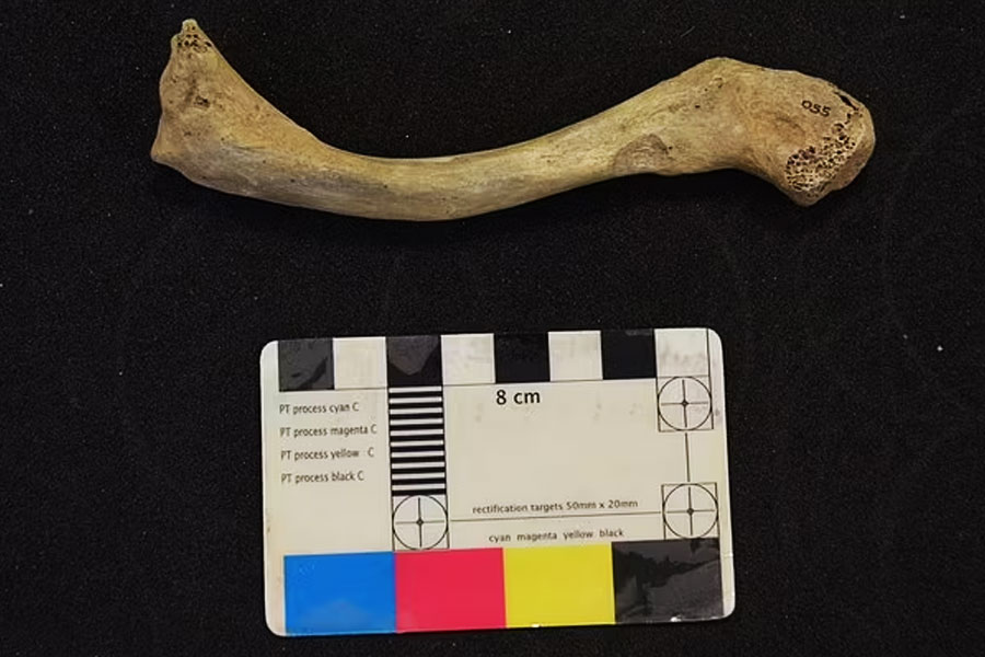 ব্রিটেনের সবচেয়ে প্রাচীন মানুষ হিসাবে এক পুরুষ এবং এক মহিলার দেহাবশেষের ডিএনএ পরীক্ষা করেন বিজ্ঞানী ও ইতিহাসবিদরা। তাঁরা জানিয়েছেন, ওই পুরুষ আজ থেকে প্রায় সাড়ে ১৩ হাজার বছর আগে এবং মহিলা প্রায় ১৫ হাজার বছর আগে ব্রিটেনে ছিলেন।