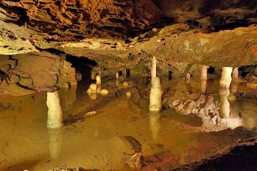 মহিলার দেহাবশেষ পাওয়া গিয়েছে ব্রিটেনের মেন্দিপ পাহাড়ের গফ গুহায়। পুরুষের দেহাবশেষ মিলেছে উত্তর ওয়েলস্-এর কেন্ড্রিকস গুহায়। প্রাচীন এই দেহাবশেষ নরখাদক নিয়ে গবেষণায় আলো দেখিয়েছে। এত পুরনো সময়ের প্রামাণ্য তথ্য ব্রিটেনে খুব কমই আছে, দাবি বিশেষজ্ঞদের।