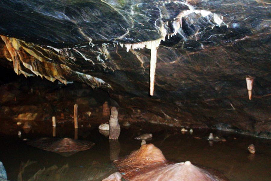 ইউনিভার্সিটি কলেজ লন্ডনের প্রত্নতত্ত্ব বিভাগ, ন্যাচারাল হিস্ট্রি মিউজ়িয়াম এবং ফ্রান্সিস ক্রিক ইনস্টিটিউটের গবেষকরা প্রাচীন দেহাবশেষ পরীক্ষার পর নরখাদক সম্পর্কে প্রাপ্ত তথ্য ‘নেচার ইকোলজি অ্যান্ড ইভোলিউশন’ নামক পত্রিকায় প্রকাশ করেছেন।