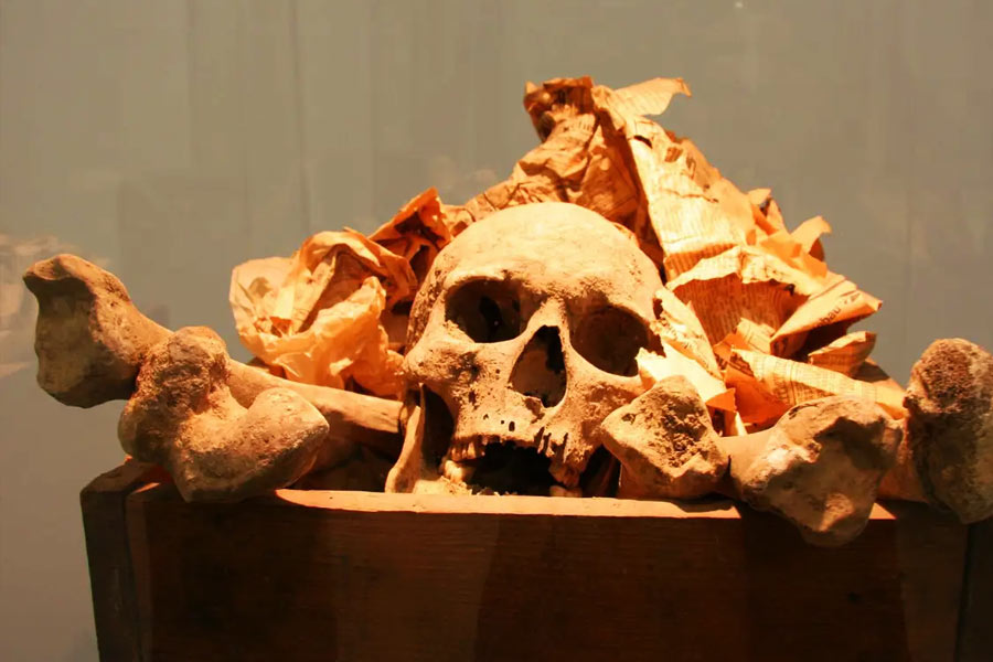 বিজ্ঞানীদের দাবি, প্রাচীনকালে নরখাদকরা একেবারেই বিরল ছিল না। বরং আর পাঁচটা খাদ্যাভ্যাসের মতোই মানুষের মাংসও ছিল স্বাভাবিক এবং সুস্বাদু। 