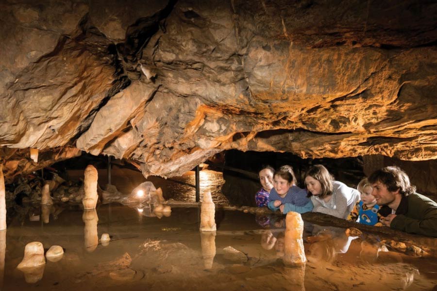 বিজ্ঞানীরা জানিয়েছেন, এই সমস্ত প্রাচীন মানবের ক্ষেত্রেই কামড়ের নিদর্শন ছিল গলা বা ঘাড়ের নীচে। মাথার হাড়ে কামড়ের চিহ্ন পাওয়া যায়নি বলে দাবি।