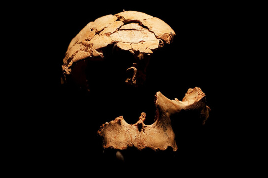 বিজ্ঞানীরা এ-ও জানতে পেরেছেন, মানুষের মাংস খাওয়া প্রাচীন কালে এক দিকে যেমন মানুষের স্বভাবগত ছিল, অন্য দিকে তেমন বিভিন্ন রীতি-রেওয়াজের অঙ্গ হিসাবেও মানুষের মাংস খাওয়া হত। 