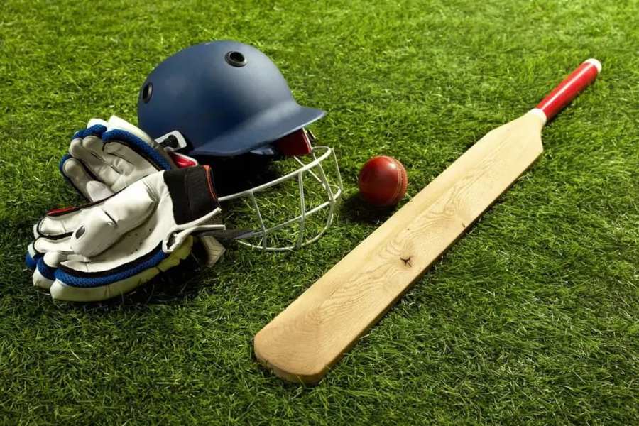 a representative picture of cricket