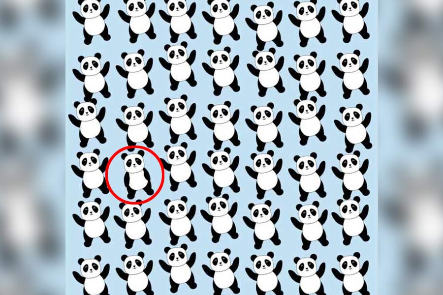 ছবিতেই লুকিয়ে উত্তর।