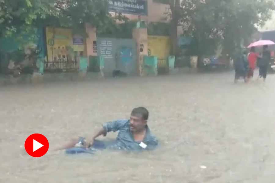 হাঁটুজলে হাবুডুবু মত্তের। ছবি: টুইটার।