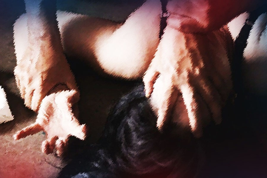 পুলিশ জানায়, ওই ফার্ম হাউস থেকে উদ্ধার হয় রেলুরাম (৫০), তাঁর দ্বিতীয় পক্ষের স্ত্রী কৃষ্ণা (৪১), প্রথম পক্ষের একমাত্র ছেলে সুনীল (২৩), সুনীলের স্ত্রী শকুন্তলা (২০), সুনীল-শকুন্তলার ছেলে লোকেশ (৪), তাঁদের শিশুকন্যা শিবানী (২) এবং প্রীতি (৩ মাস)-সহ প্রথম পক্ষের মেয়ে প্রিয়ঙ্কা (১৬)-র দেহ।