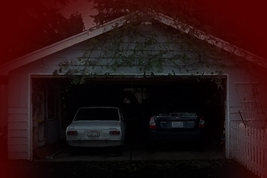 ঘটনার দিন রাত ১২টার সময় সনিয়ার জন্মদিন উপলক্ষে ফার্ম হাউসে আতশবাজির খেলা চলছিল। রেলুরামের পরিচারকদের দাবি, সে রাতে জন্মদিনের হইচই, শোরগোলের মাঝেই ফার্ম হাউলের গ্যারাজ থেকে সনিয়াকে একটি লোহার রড বার করে আনতে দেখেছিলেন তাঁরা। 