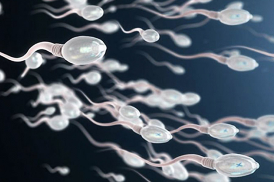 কিন্তু যে পদ্ধতিতে ব্রিঙ্কলি বন্ধ্যত্ব নিরাময় করতেন, তা ছিল আজব এবং সম্পূর্ণ অবৈজ্ঞানিক। আর তাঁর এই পদ্ধতির জন্যই তিনি দেশ জুড়ে আলোচনার কেন্দ্রবিন্দুতে পরিণত হন।