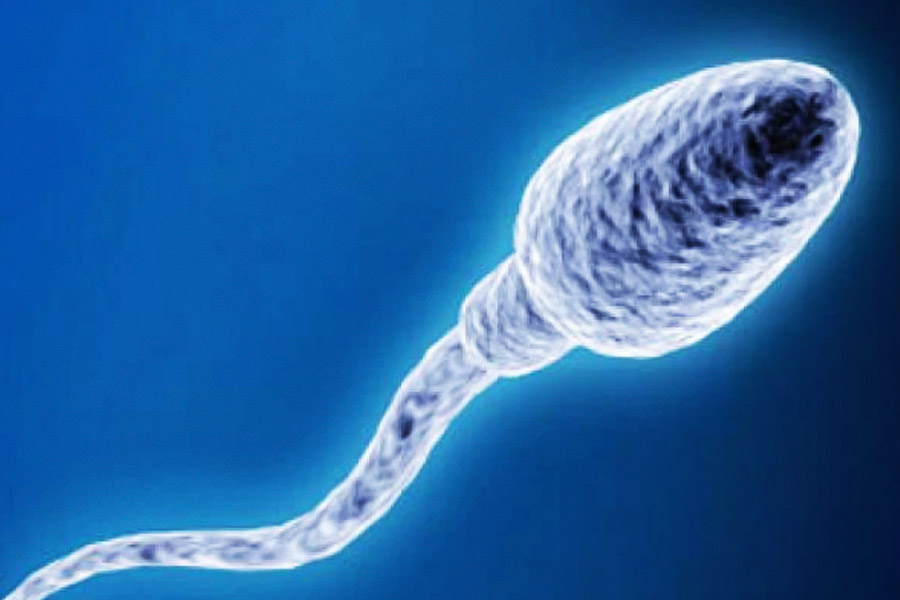 যে সব পুরুষের বীর্য শক্তিশালী ছিল না বা যাঁদের শুক্রাণু সন্তান জন্ম দেওয়ার জন্য উপযোগী ছিল না, তাঁরা দলে দলে চিকিৎসা করাতে ব্রিঙ্কলির দ্বারস্থ হতেন।