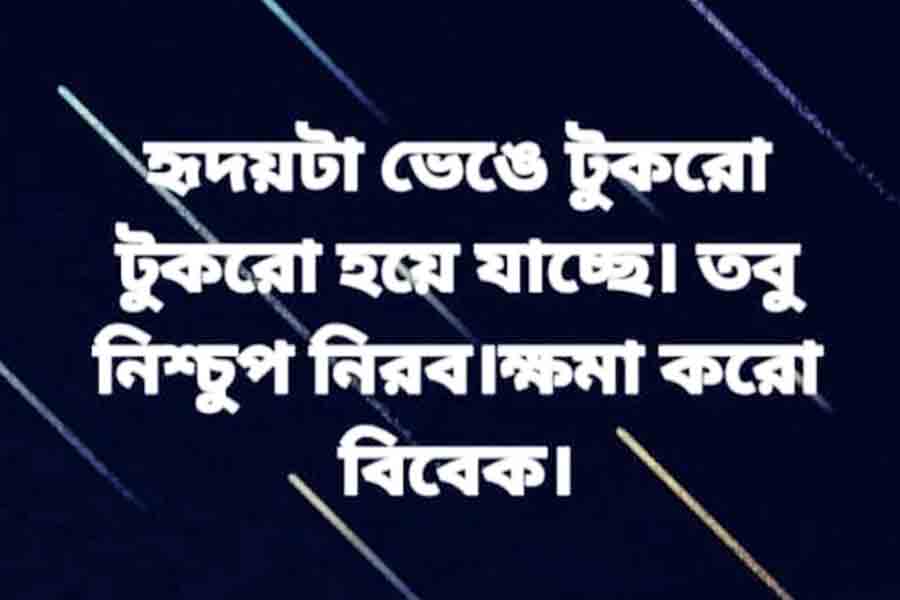 সমাজ মাধ্যমে এমনই পোস্ট আপলোড হচ্ছে। নিজস্ব চিত্র