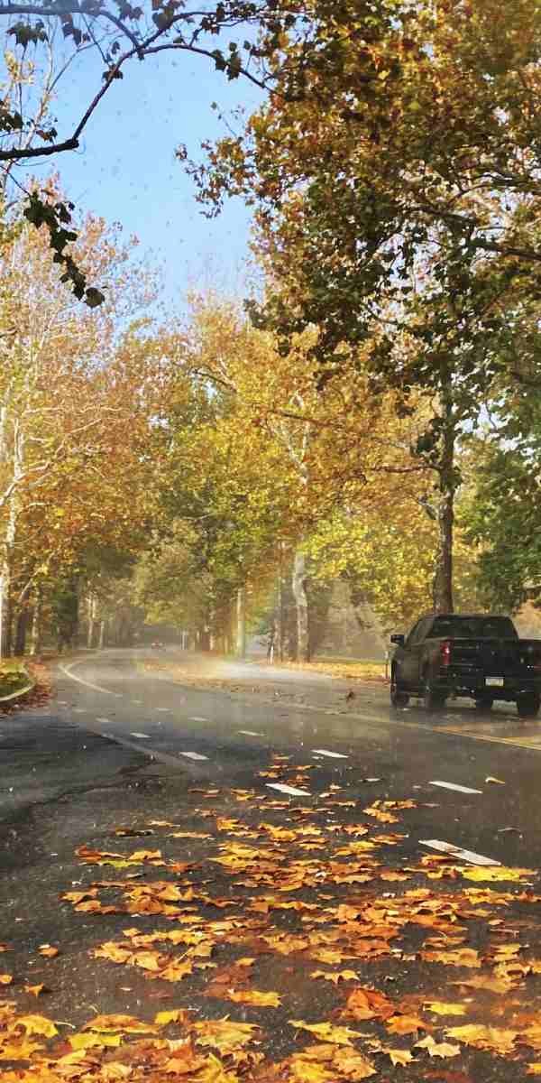 রামধনুর এই ছবিটিতে শেষ প্রান্তের ছবি দেখা যাচ্ছে। 