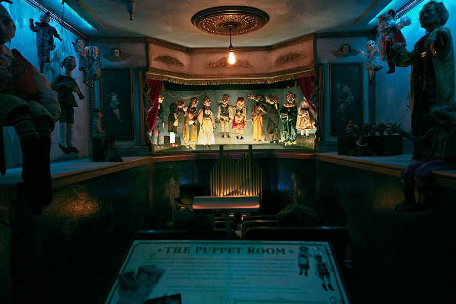 জ়াকের মিউজ়িয়ামে পা রাখলেই দেখতে পাবেন মাইকেল জ্যাকসনের একটি চেয়ার। অনেকে যেটিকে মাইকেলের ‘প্রোপোফল চেয়ার’ বলে ডাকেন। ২০০৯ সালের ২৫ জুনের রাতে যে চেয়ারে বসে নাকি ‘প্রোপোফল’ সেবন করেছিলেন মাইকেল।